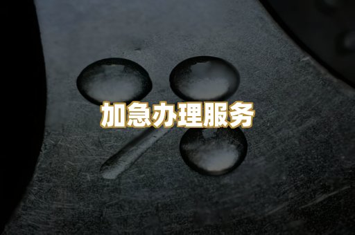加急办理服务